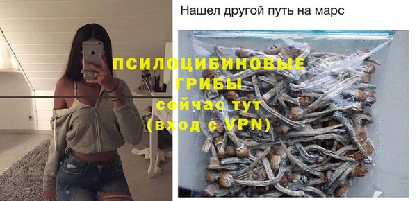 мяу мяу мука Алексин