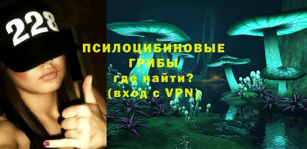 прущие грибы Покровск