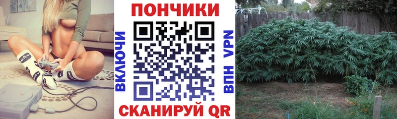 Конопля гибрид  МЕГА tor  Долинск 
